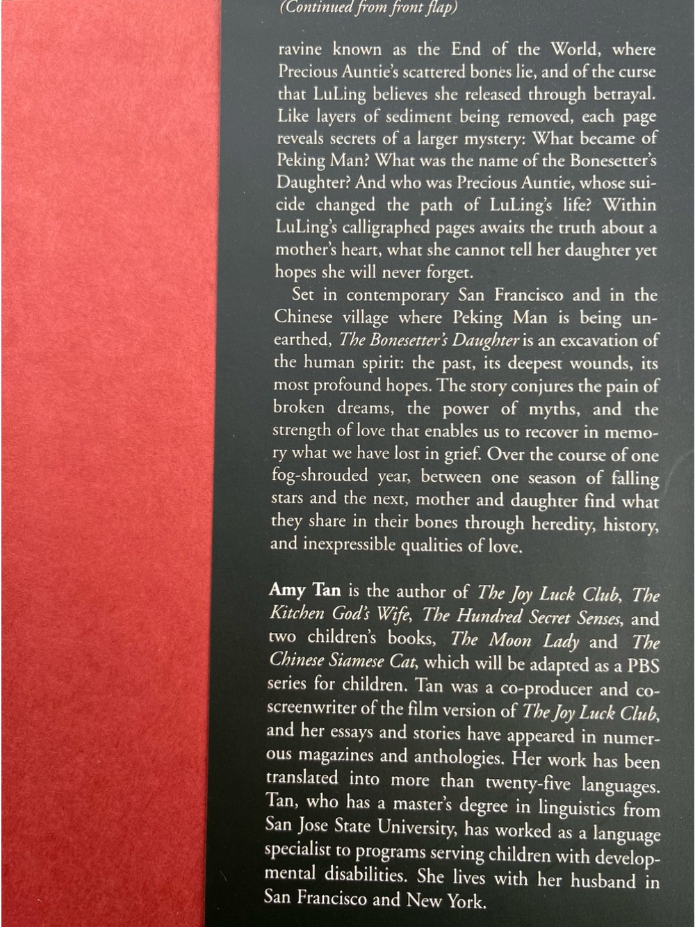Amy Tan Book Set - Picture 8 of 15